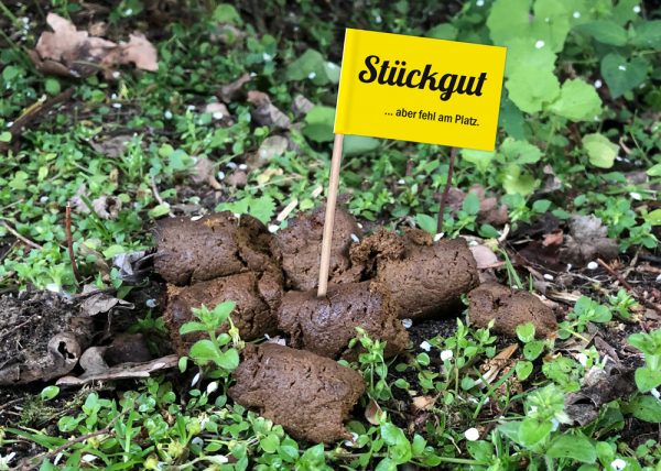 25er Set "Häufchen sucht Herrchen", 5 verschiedenen Motiven: Hundekot Fähnchen – Bild 2